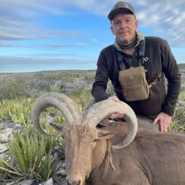 free range aoudad hunt in Texas