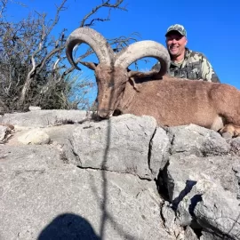 Texas Aoudad hunting