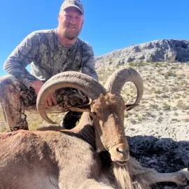 free range Aoudad hunting