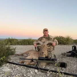 Free range Texas aoudad hunt