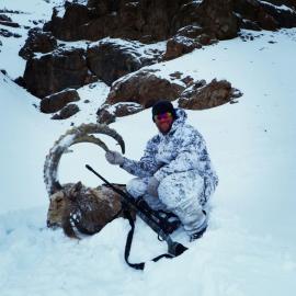 Ibex with snow as a background