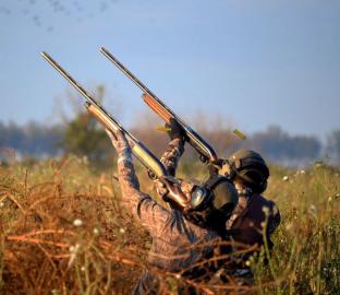 Hunt doves in South America