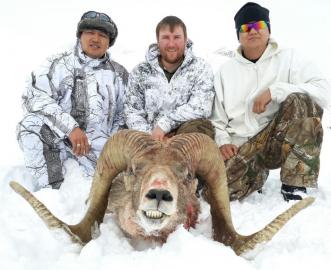 A giant trophy Marco Polo Argali