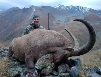 Kuban Tur mountain hunting in Russia