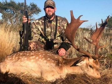Fallow Deer Trophy