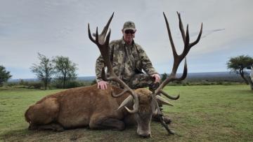 Red Stag trophy in Argentina