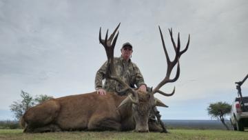 Red Stag Trophy hunting in South America