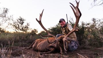 Free Range Red Stag hunting in the Americas