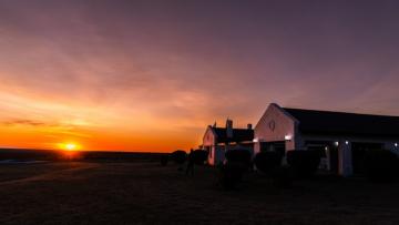 Water Buffalo Hunting Lodge Outside