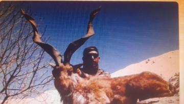 Hunt Kashmir Markhor in the mountains of Pakistan