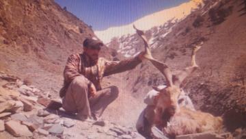Kashmir Markhor hunt in Pakistan