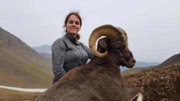 Snow Sheep Hunt in Russia