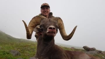 Giant Snow Sheep in Mountains