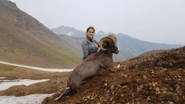 Kamchatka Snow Sheep Trophy