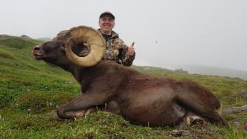Huge Snow Sheep in Kamchatka Mountains