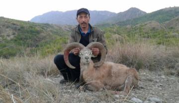 hunt punjab urial in pakistan