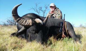 Trophy Water Buffalo in Argentina