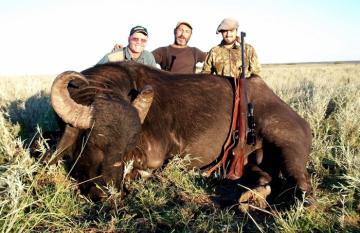 Big Water Buffalo in Argentina