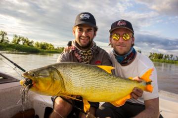Fly fish golden dorado