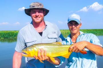 Golden Dorado Fishing in Argentina