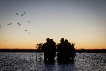 waterfowl hunting in south america