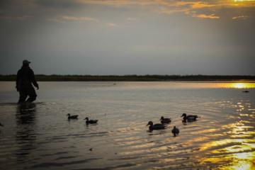 duck hunting in Argentina
