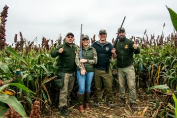 Wingshoot dove in Argentina