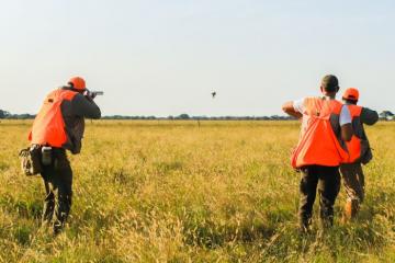 Shoot Perdiz in South America