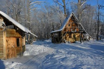 Russian bear hunt cabin