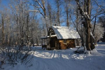 Moose hunting clent cabin