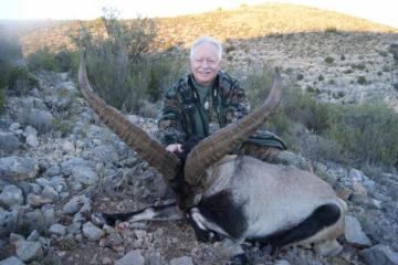 Fabulous Beceite Ibex