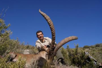Guide with a big beceite ibex