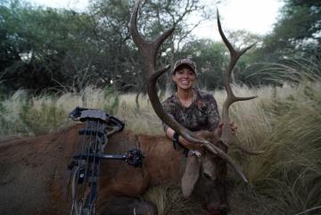 Nice red stag trophy