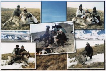 A Marco Polo trophy montage