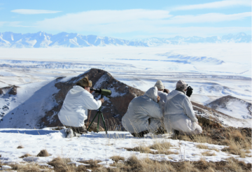 Glassing for Mid-Asian Ibex in Kyrgyzstan