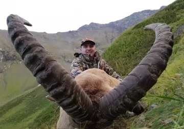 Hunting huge Kuban Tur trophies in Caucasian mountains