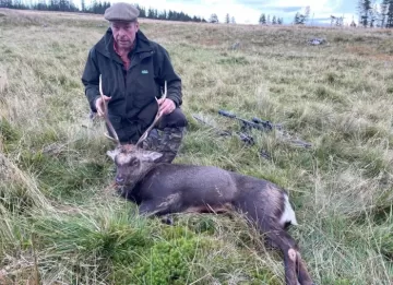 Hunt sika stags in Scotland