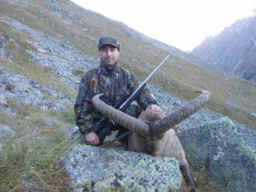 hunt mid Caucasian tur in Russia
