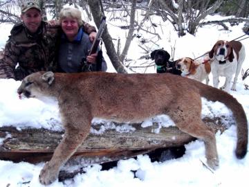 Dog Pack with trophy mountain lion