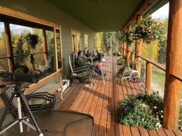 Lynx Hunting Lodge back Deck