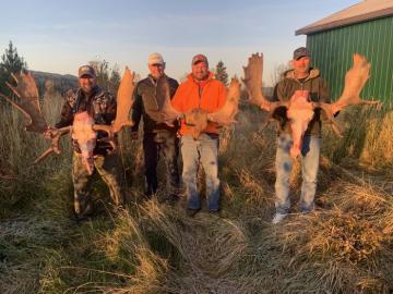 Hunters with their Canadian Moose trophies