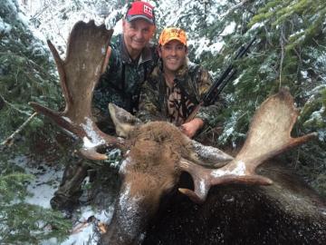 A really big Canadian moose trophy