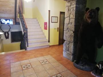 Brown Bear Hunt Lodge in Croatia