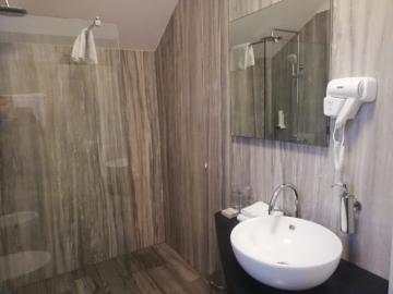 Brown Bear Hunt Lodge Bathroom