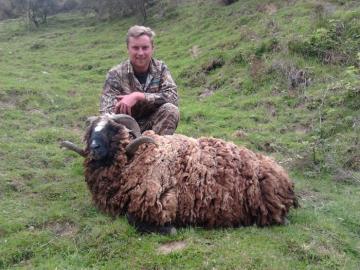 Arawapawa Ram Trophy