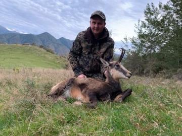 Nice Chamois in New Zealand