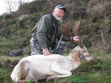 Melanistic Fallow Deer Trophy