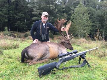Good Fallow Deer Trophy