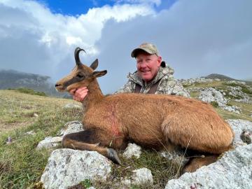 Pyrenean Chamois in Spain 12