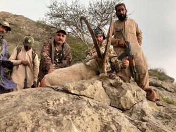 Sindh Ibex 9